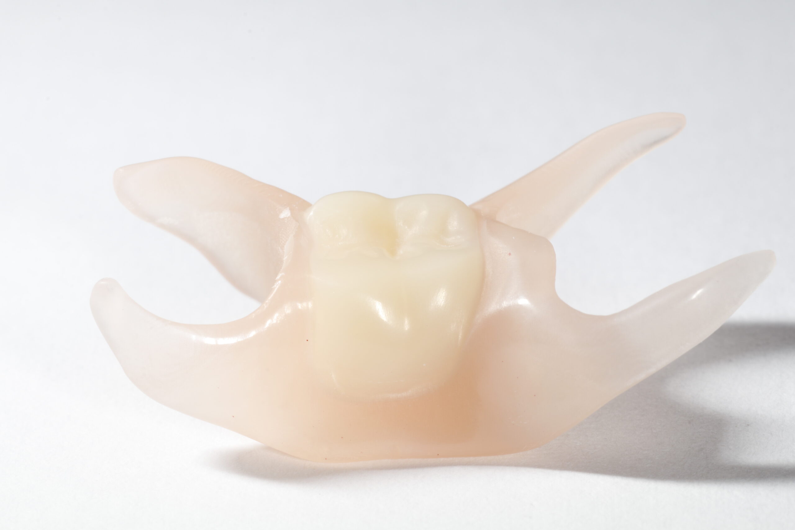 Partial Denture / per unit