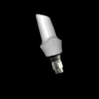 Implant Abutment